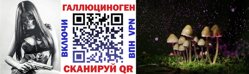 Галлюциногенные грибы Psilocybe  Александров 